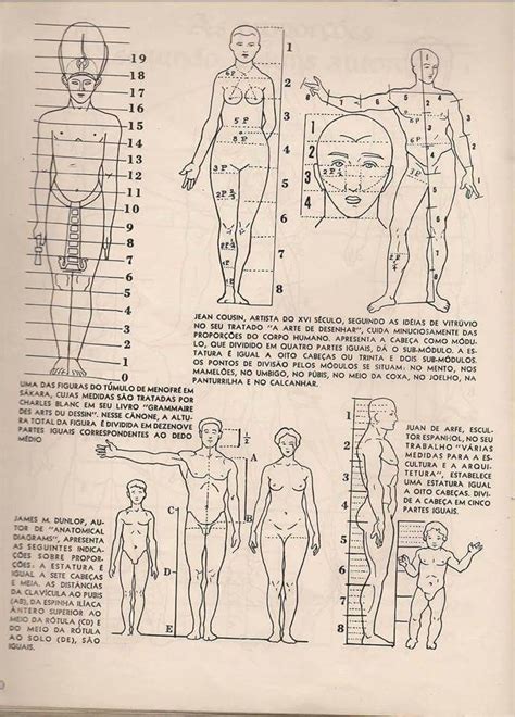 Mustafa Dinçer adlı kullanıcının Anatomy panosundaki Pin Insan anatomisi Figür çizimleri