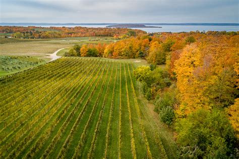 Rcs 2018 10 26 Michigan Traverse City Chateau Grand Traversep4p2 Dji