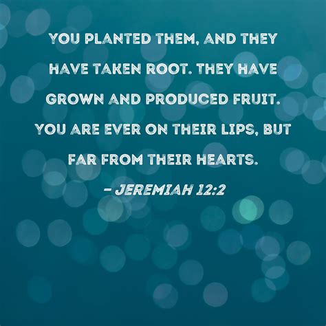 Jeremiah 122 You Planted Them And They Have Taken Root They Have Grown And Produced Fruit