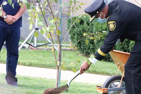 911 Survivor Tree Planted At Sheriffs Department In Riverhead