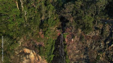 Morans Falls In Lamington National Park Gondwana Rainforests