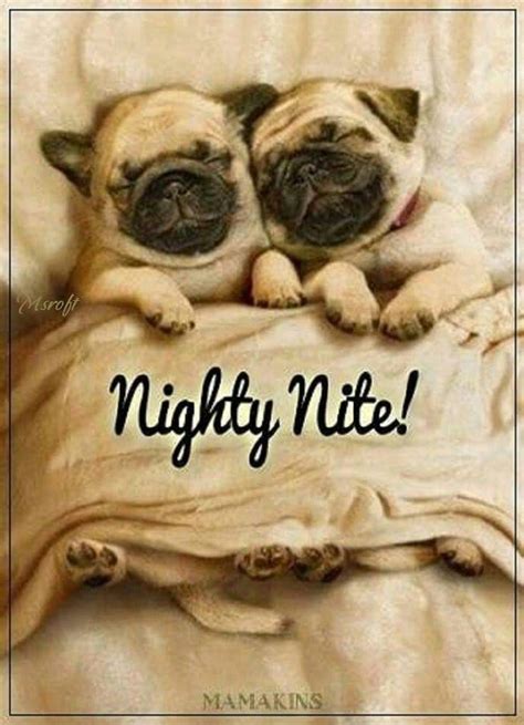 408 Best Images About Good Night On Pinterest Good Night Sweet Dreams