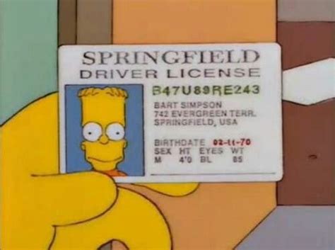 Pin by Melina on todo | Bart, Simpson, The simpsons