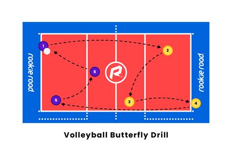 Volleyball Serving Drills