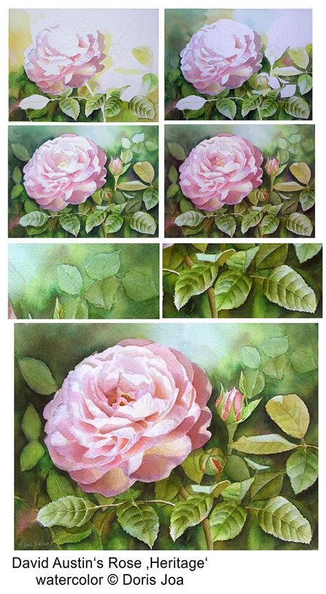 How To Paint A Rose Watercolor Rose Demonstrations Step By Step
