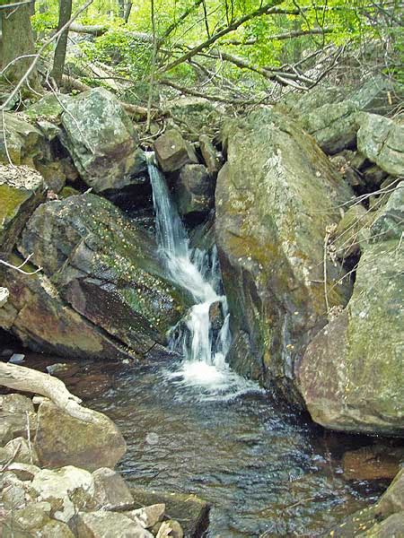 Morgan Run Hike