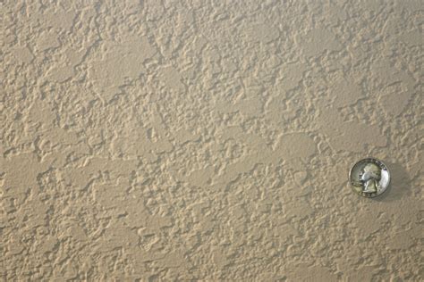 Splatter Knockdown Drywall Texture Techniques | Ceiling texture, Orange
