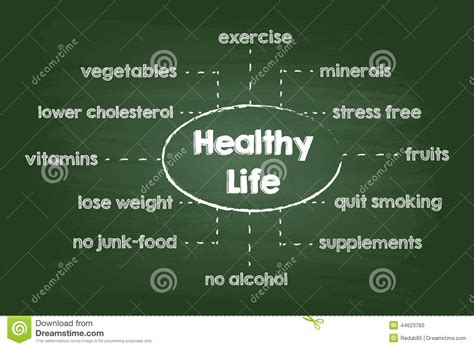 Healthy Lifestyle Chart stock vector. Image of diagram ...