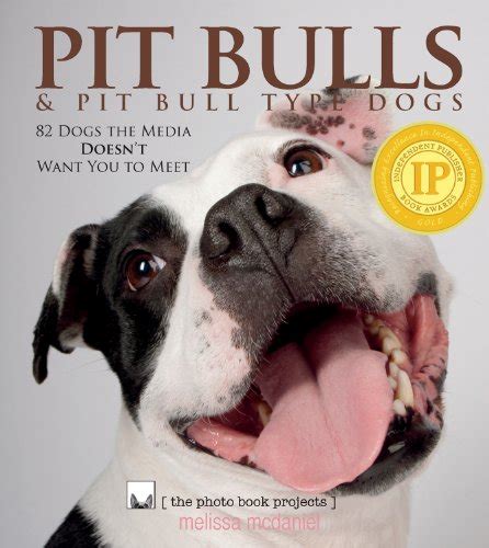 Pit Bulls And Pit Bull Type Dogs 82 Dogs The Media Doesnt Want You