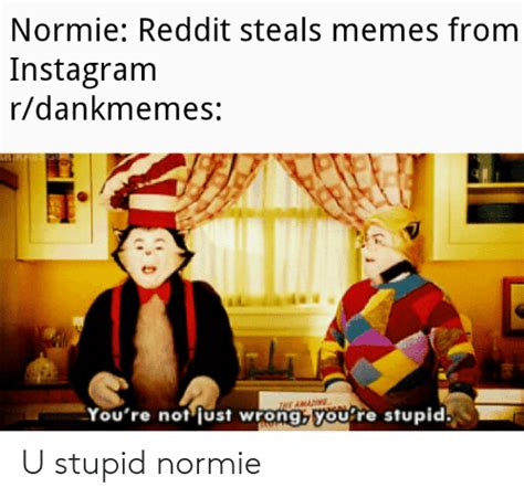 Normie Reddit Steals Memes From Instagram Rdankmemes The Amad Youre