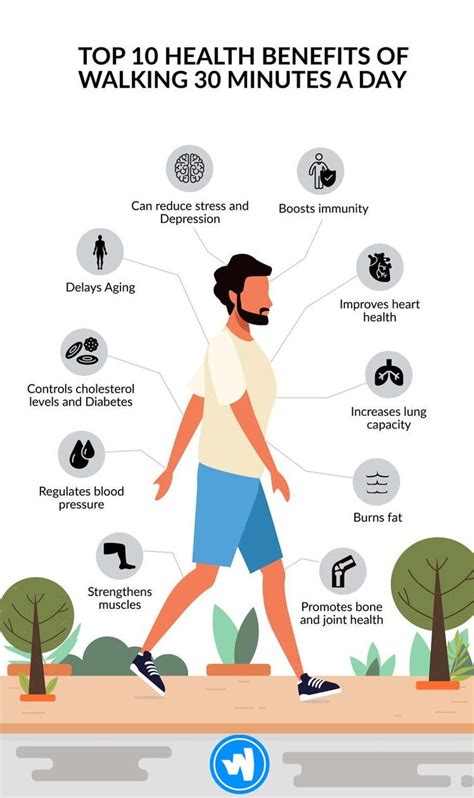Top 10 Health Benefits Of Walking 30 Minutes A Day 🚶‍♂️ In 2020