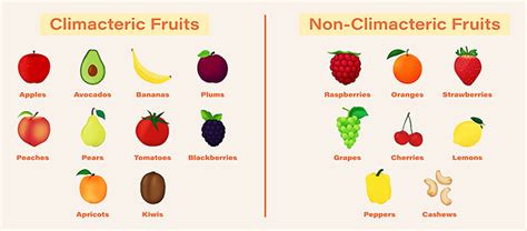 Stay Fresh Ways To Control Fruit Ripening Dpo International