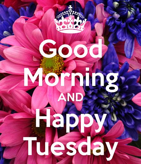 Good Morning Wishes On Tuesday Pictures Images