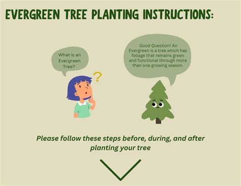 Tree Planting Instructions Neighborhood Forest