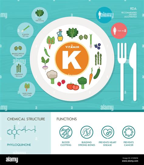 Vitamin K Nutrition Infographic With Medical And Food Icons Diet