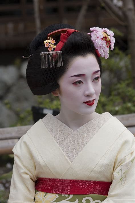 Under Cherry Blossoms Maiko Kotoha In Memoriam Onihide Flickr