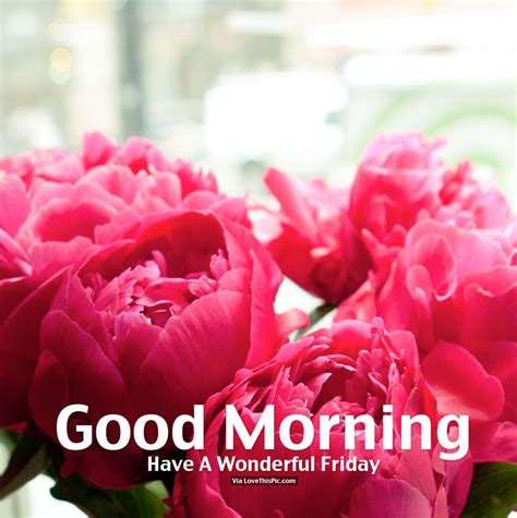 Good Morning Have A Wonderful Friday Pictures Photos And Images For