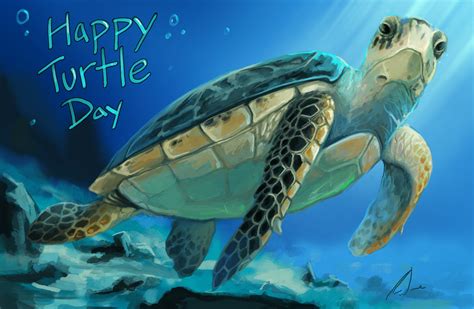 Happy Turtle Day By Charfade On Deviantart