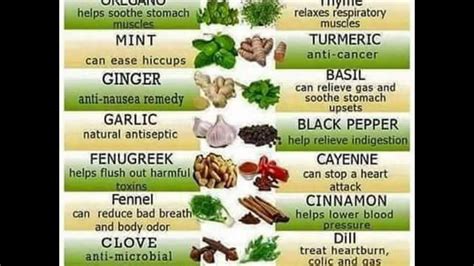 In 1922, braunstein noted … Dr Sebi Diet Top 10 Healthy Alkaline organic food list For