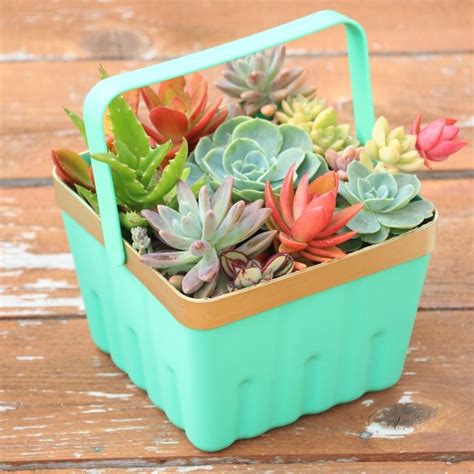 21 Creative Succulent Container Gardens To Diy Or Buy Now Succulent
