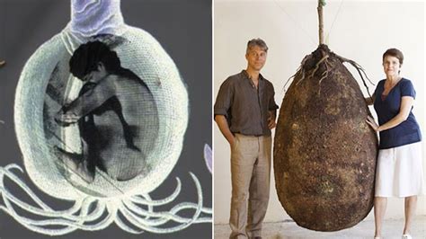 The End Of Coffins Organic Burial Pods Turn Bodies Into Trees Blogsciencenatures