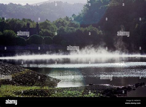 Morning Mist Over Water Stock Photo Alamy