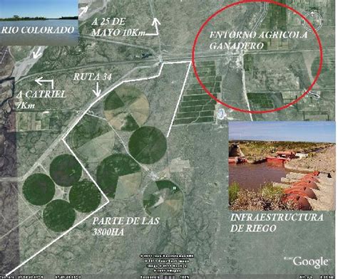 Al 25 de mayo, en la provincia de la pampa se contabilizan 5 casos de infectados y ninguna víctima fatal. Imágenes de CAMPO GANADERO AGRICOLA DE 3800HA -COLONIA 25 ...