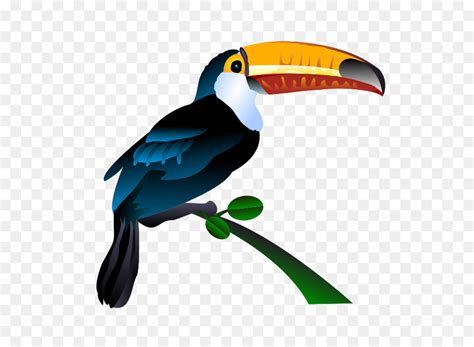 Clipart Toucan 10 Free Cliparts Download Images On Clipground 2024