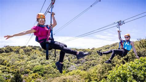 Zipline Waiheke View Auckland