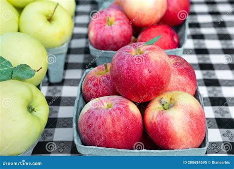 Fresh Picked Gala Apples At A Local Farmer S Market Stock Image Image