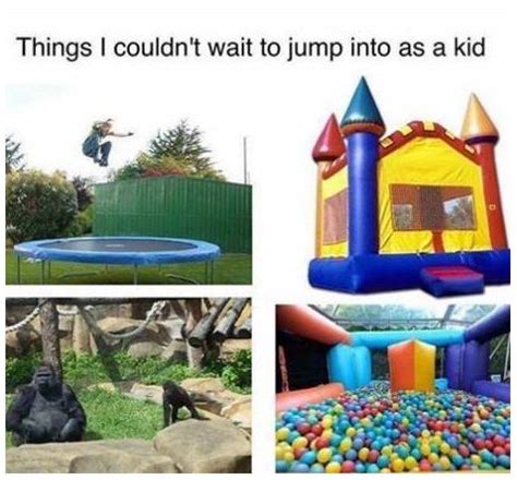 If the caption adds to the meme or is part of the meme, it isn't a ch still just not that dark, this guy is saying only he would like it because of his dark humor, but this isn't so dark that people with different humor would be offended. The Dark Internet Humor of Harambe Jokes