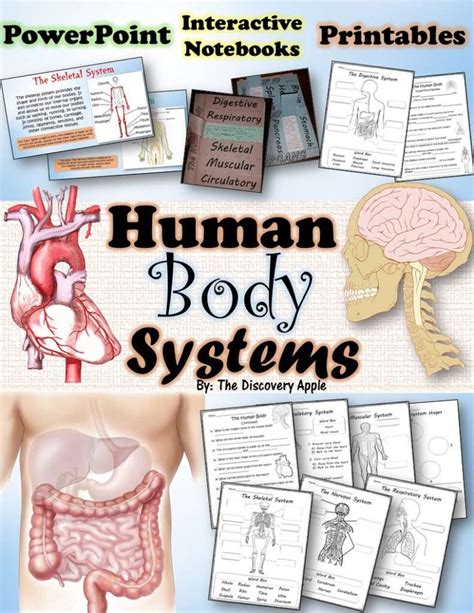21 Super Fun Human Body Activities And Experiments For Kids The