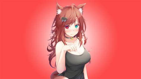 neko 4d
