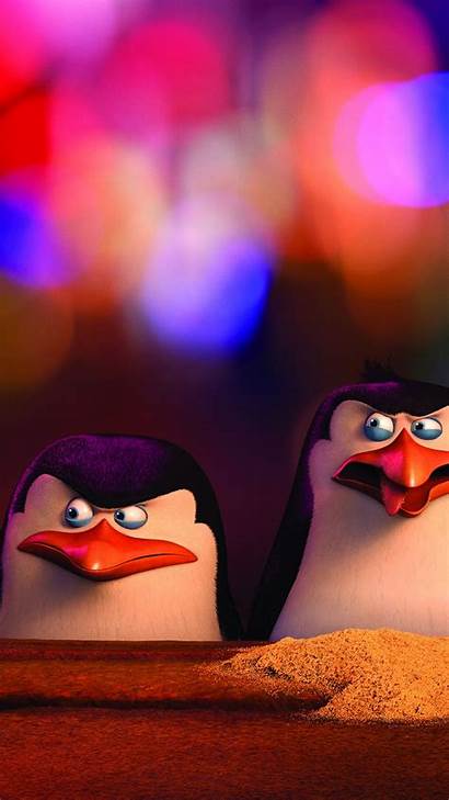 Madagascar Penguins Penguin Cartoon Funny Movies Skipper