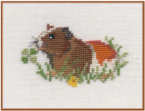 Kostenlose lieferung für viele artikel! Meerschweinchen - Kreuzstich - Stickvorlage zum Sticken ...