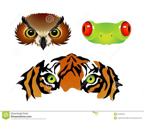 Animal Eyes Clipart 20 Free Cliparts Download Images On Clipground 2023