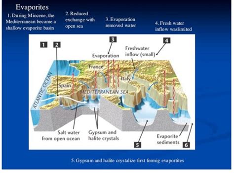 Poses terjadinya hujan dimulai dari sinar matahari yang panas menyebabkan adanya proses evaporasi. Mineral Halida