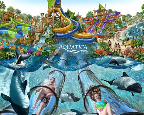 Aquatica Orlandos Year Round Water Park Magical Distractions