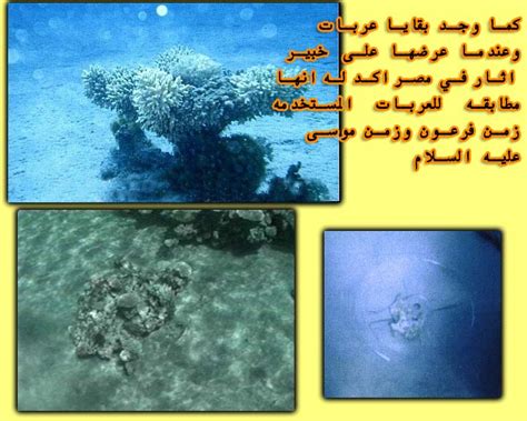 Check spelling or type a new query. مكان غرق فرعون بالصور - منتديات عبير
