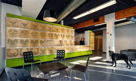 From consultation to diagnostics and treatment: Vet Clinic, Pet Grooming - Elemental Veterinary Center And ...