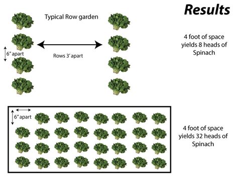 How to plant rows in a vegetable garden. Efficient Plant Spacing - Feed the World