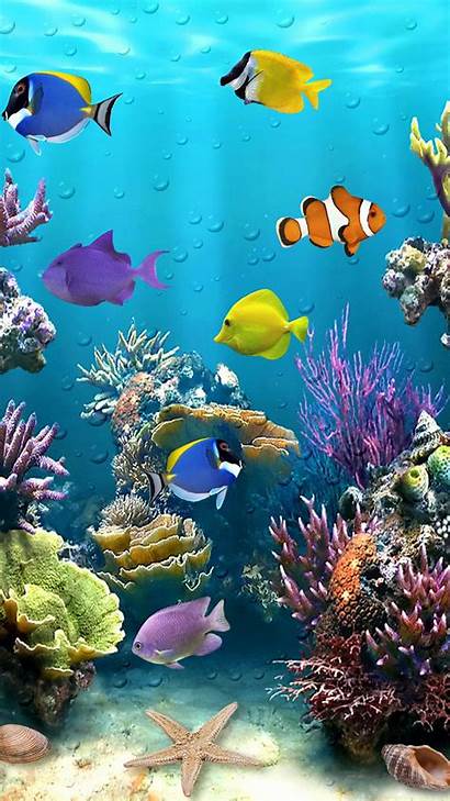 Fish Tropical Sea Animal Ocean Iphone Phone