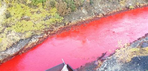 River Turns Blood Red In Russia