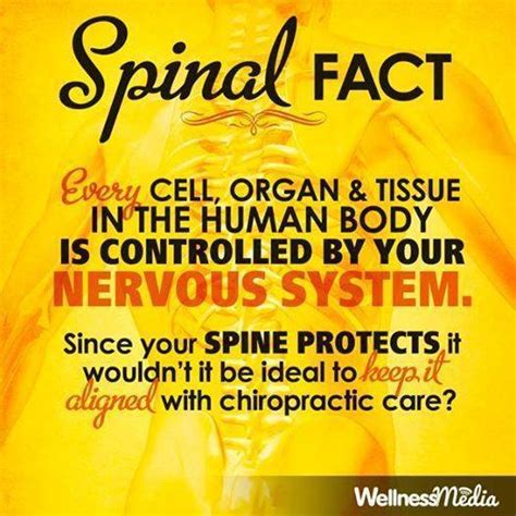One block from coquitlam centre mall. #SpinalFacts - Eastern Shore Chiropractic & Sports Clinic ...