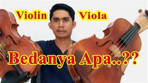 Violin Dan Viola Apa Bedanya Youtube
