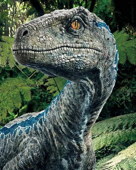 Comment The Best And Bad About Blue Blue Jurassic World Jurassic