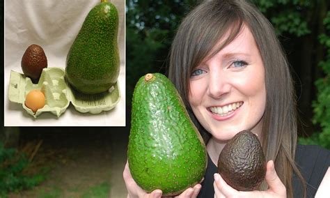 Pinkerton, hass, wurtz, lamb hass, fuerte✿ help real life fruitopia grow ✿▶ like, comment and share this video. 'Avozilla': The world's largest avocado to go on sale at ...