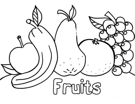 Tangerine, lychee, orange, dragon fruit. Fruits - Downloadable Coloring Pages for Children