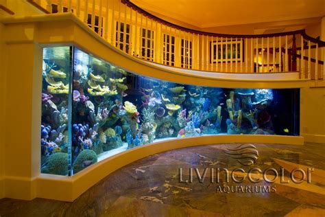 We Create Large Custom Residential Aquariums For The Most Enthusiastic