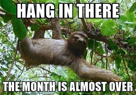 20 Hang In There Meme To Motivate You